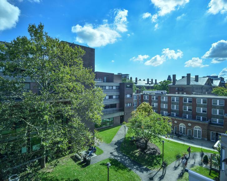 Lesley's Doble Campus