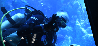 Threshold director Ernst VanBergeijk gives an underwater thumbs-up in the ocean tank at the New England Aquarium.
