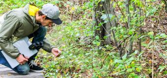 student investigating plant species