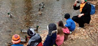 Teacher and students on shoreline of pond, ducks swimming nearby