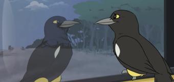 A still from alumna Hanah Cincotta's film "O'o: The Last Voice of Kaua'I O'o"