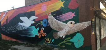 Mural of owls in Lawrence, Mass.