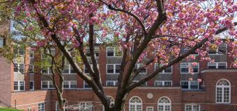 Bright pink flowers bloom in front of the dining hall on Lesley's Doble campus.