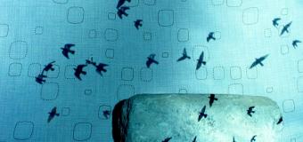 layered image of cloth, shadows of birds, and Havana street cobblestone