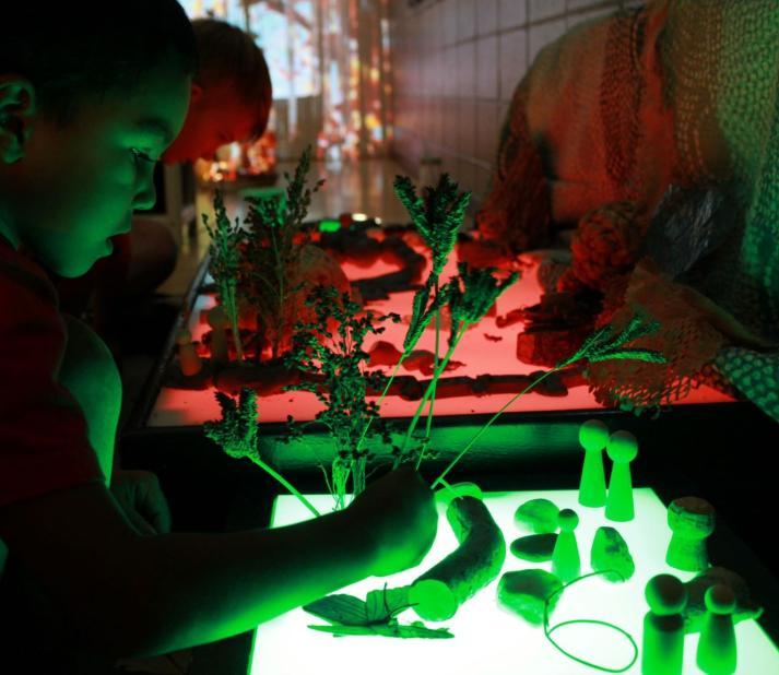 Children looking at plants during Reggio Emilia Institute