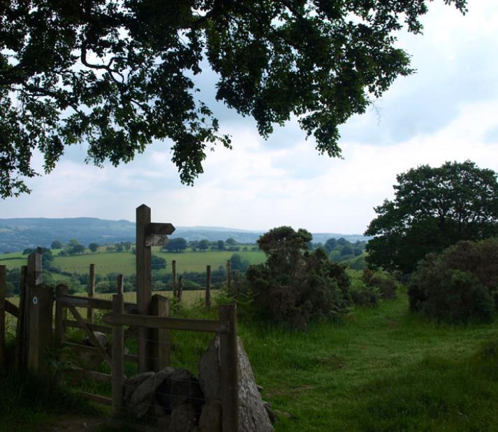 Dylan thomas summer school in wales