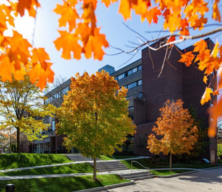 doble campus during the fall