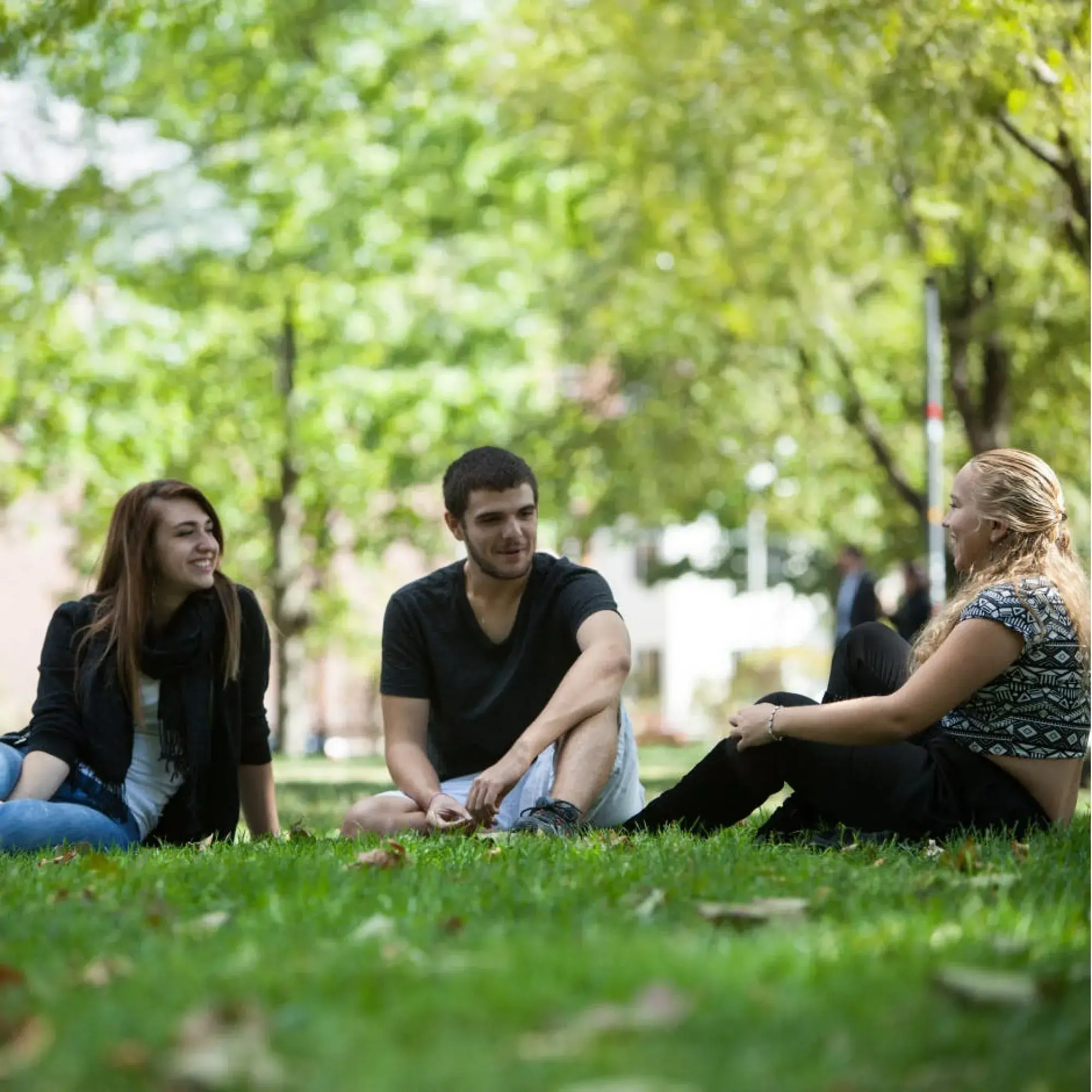 Virtual Information Sessions for Transfer Students