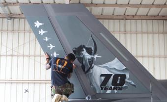 Christy Tortland's image of Diana is applied to the F-35