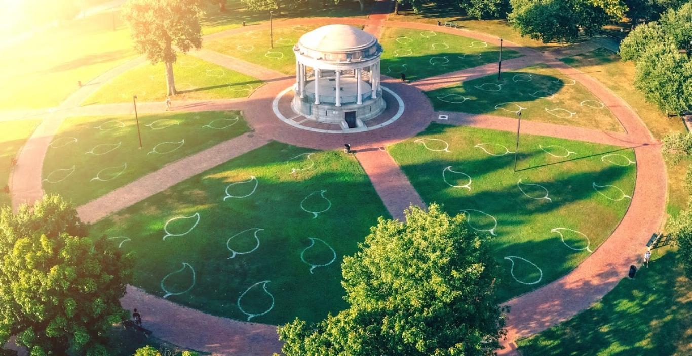 Aerial of Boston Common with view of grass that has leaves painted on it to guide for social distancing.