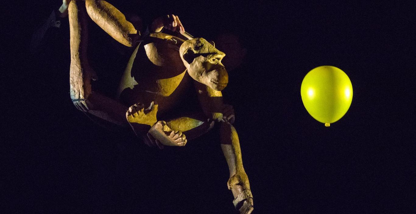 A chimpanzee puppet looks at a yellow balloon