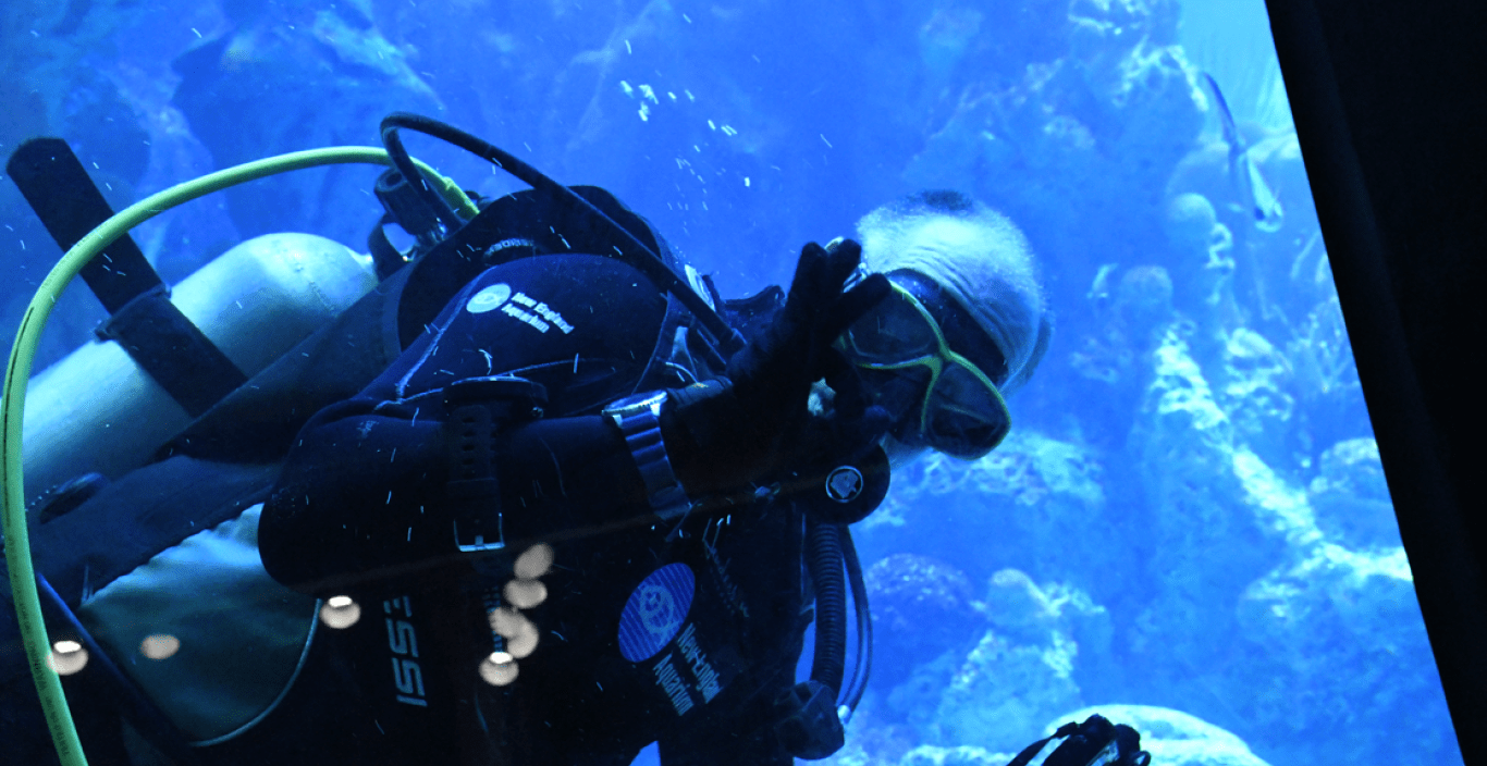 Threshold director Ernst VanBergeijk gives an underwater thumbs-up in the ocean tank at the New England Aquarium.
