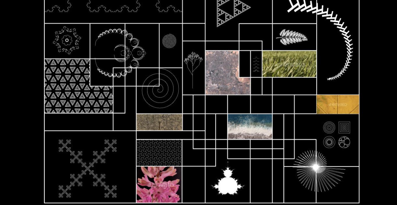 "Fractals Ascending" by Silas Munro is a storyboard as grid, with white grids on black with designs in each grid, some of which contain images of nature. 