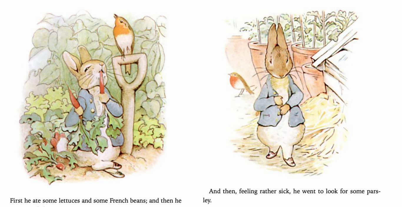 Pages from Beatrix Potter's Peter Rabbit