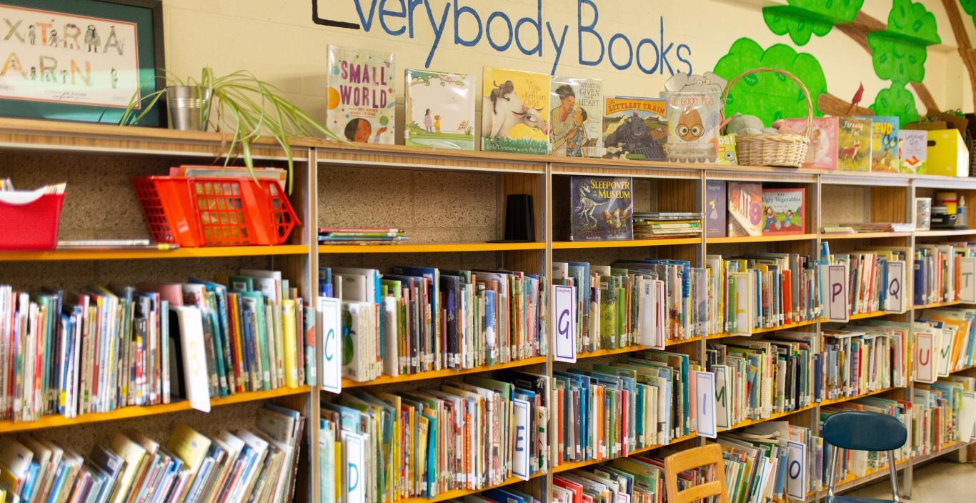 PreK-2 classroom library with rows of bookshelves