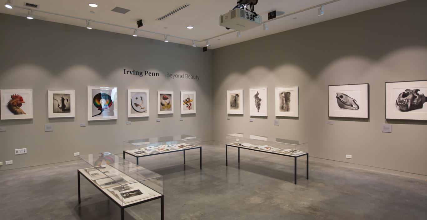 Raizes Gallery: Irving Penn Exhibition