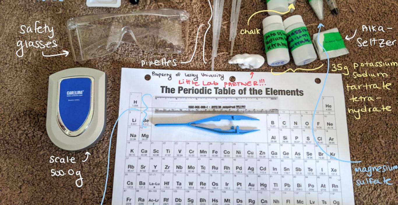 Flatlay of lab kits with each item labeled