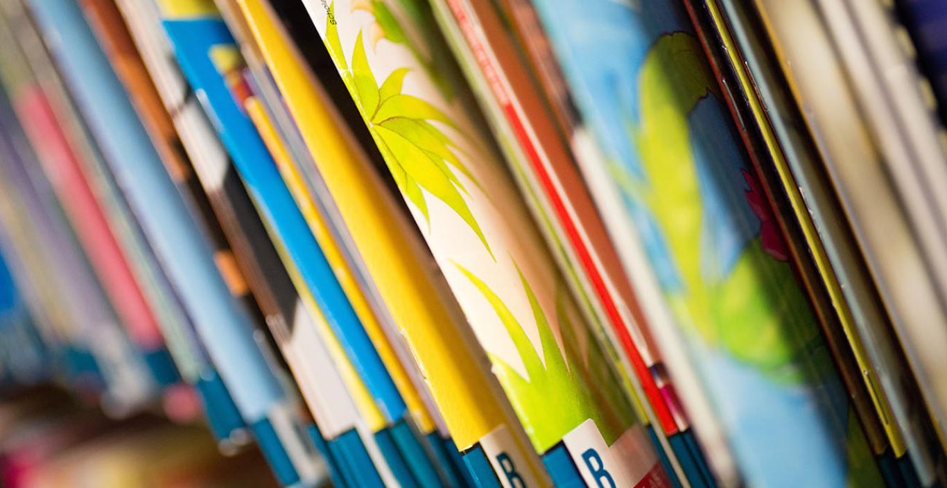 Leveled books for guided reading - level b