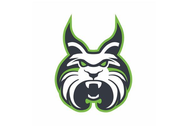 Lesley University Lynx Mascot.
