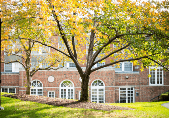 photo of one of lesley's buildings with a beautiful tree in front of it