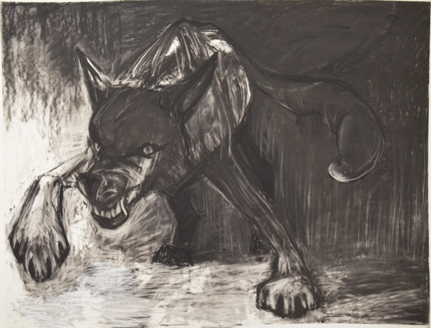 drawing of a wolf