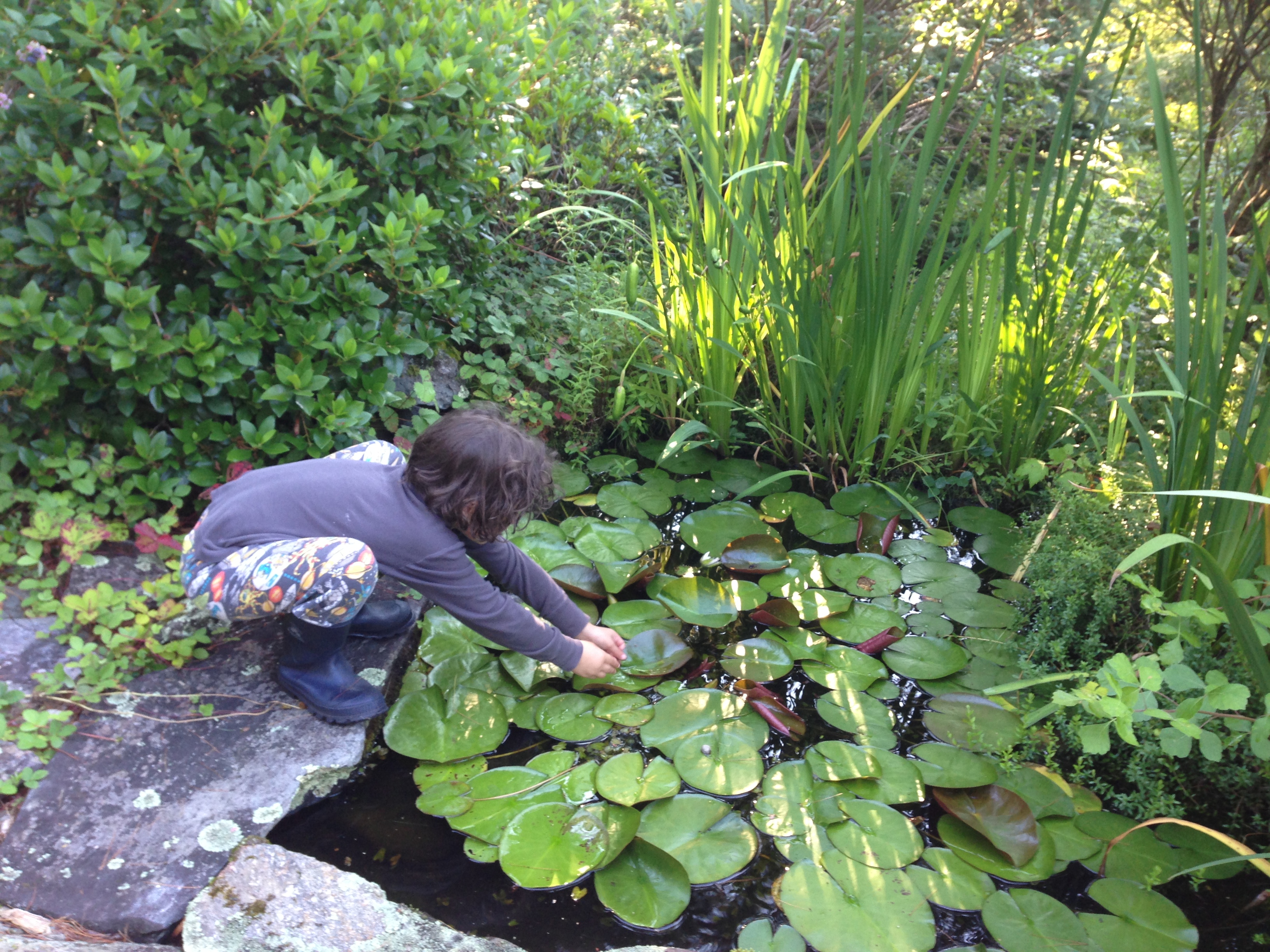 https://lesley.edu/sites/default/files/wonderlab-student-lily-pads.JPG